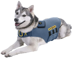 CozyVest 3-in-1 music and aromatherapy shirt close-up speaker delivers soothing canine soundscapes