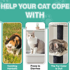 CPFK cat hairball remedy treats feeding scene showing simple daily dose