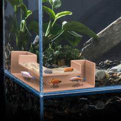 CPLIKE Fish Tank Tunnel buried under substrate offers hidden exploration for fish.