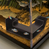 CPLIKE underground tunnel view for shrimp and fish boosts exploration and aquarium interest