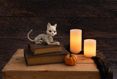 Crazy Bonez Cute Skeleton Cat side view ideal for compact shelf decor.
