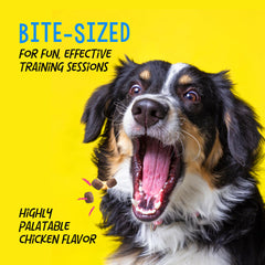 Crazy Dog Mini Train-Me! chicken-flavor label emphasizing natural chicken inclusion.