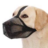 Crazy Felix dog muzzle with overhead strap provides secure, comfortable fit during outdoor strolls.
