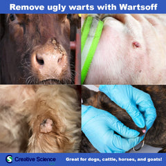 Creative Science Warts Off for dogs on leg wart—safe care