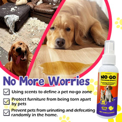 Creimpdoty training-memory aid reinforces designated bathroom area behavior.