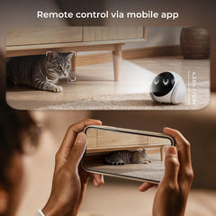 Crigge Magic S1 app control view demonstrates quick setup and remote access.