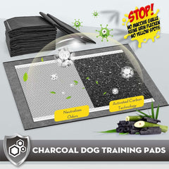Croci activated-carbon odor-control pad neutralizes scents during potty breaks.