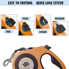 CROWN PAWS 360-degree guidance system enables tangle-free park walks.