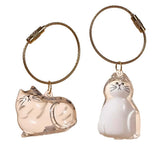 CTABHOM cat hair keychain closeup shows a durable keepsake for daily memories.