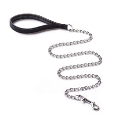 CtopoGo heavy-duty dog leash with chrome chain and 6-foot reach for secure everyday walks