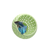 CTWPets Betta Bulb Hide 2.0 inside aquarium view shows a cozy resting spot for bettas.