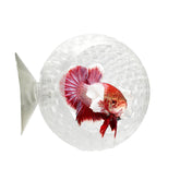 CTWPets Natural Betta Bulb Hide front view offers a cozy resting cave for small fish