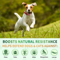 Cudory-natural-herbal-ingredients-pack displays plant-based flea and tick support.