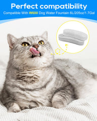 Cunina W600-compatible filter unit shows compatibility with large dog water bowls.