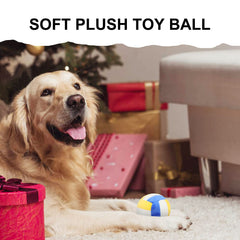 Cuperay interactive dog balls squeaker demo captures dog attention during indoor games.