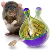 CUQUICC rat puzzle foraging toy assembly boosts natural foraging behavior.