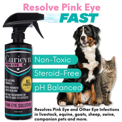 Curicyn Pink Eye Solution spray bottle for large-animal eye care like IBK.