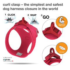 Curli Vest Harness Clasp Air-Mesh XS buckle closeup emphasizes strong clasp and secure leash attachment