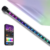 CURRENT ColorCast background film applied to aquarium glass for diffuse, vivid lighting.