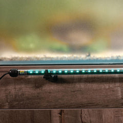 CURRENT ColorCast frosted film diffusion provides soft color spread.