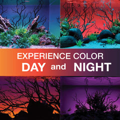 CURRENT ColorCast app control interface illustrating wireless color options.