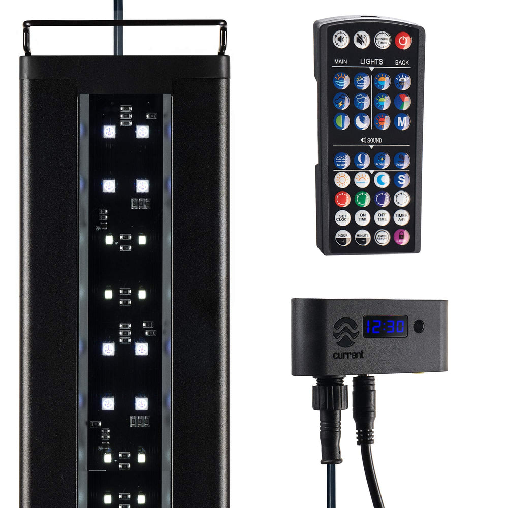 Current Satellite LED Plus side view shows vibrant color blends for aquarium viewing