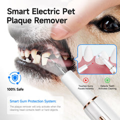 Curvy Moon Ultrasonic Dog Teeth Cleaning Kit LED light in use for precise cleaning.