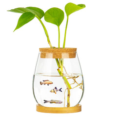 CUSNESTAL fish bowl on bamboo stand provides stable, stylish desk decor.