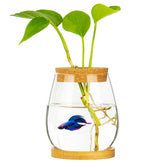 CUSNESTAL desktop fish bowl with clear glass and wood lid for easy viewing.