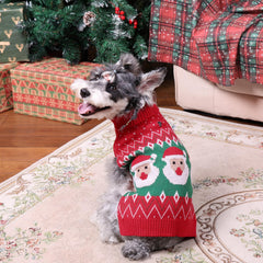 CuteBone Christmas dog sweater on dog showcases festive style for parties and photoshoots.