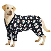 CuteBone post-surgery dog suit on a dog, promoting gentle immobilization and comfort
