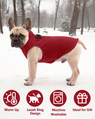CuteBone size-fit for small and medium dogs, shown in a try-on view.