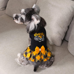 CuteBone Thanksgiving dog sweater bowtie detail highlights festive charm and cuteness