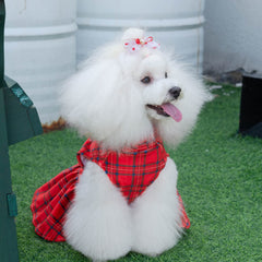CuteBone velvet dress with bow rope accessory adds charm for photoshoots and celebrations.
