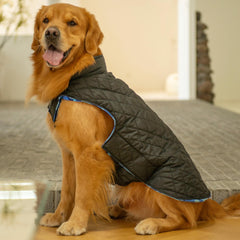 CuteBone winter dog jacket leash hole feature enables easy leash connection during outdoor adventures.