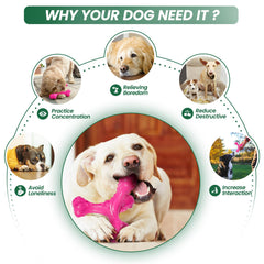 CVALIN large-breed dog toy for safe indoor outdoor play