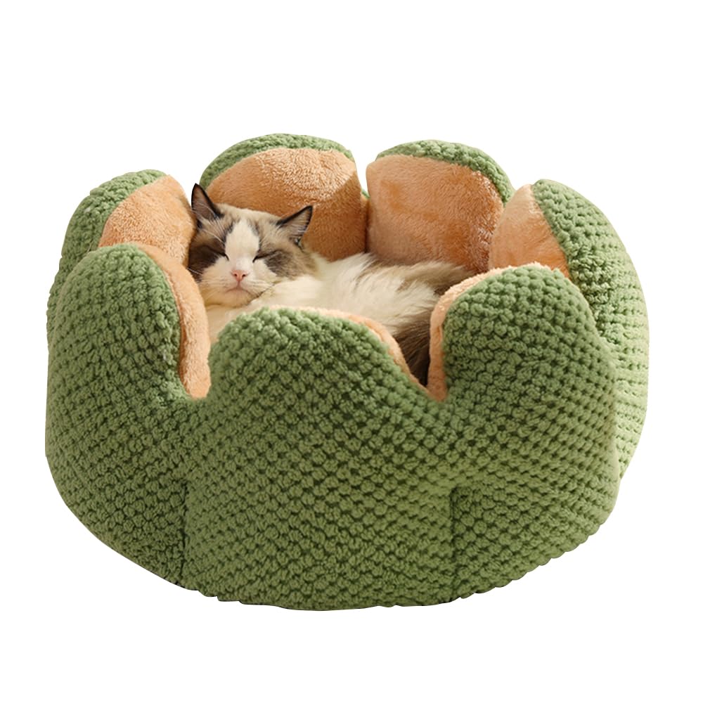 CWV Cute Cat Beds cactus shape close-up highlights plush fabric for cozy naps