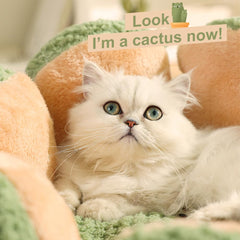 CWV Cute Cat Beds removable cushion demonstrates machine-washable convenience