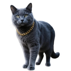 CWYZA Gold Cat Chain Collar front view shows sleek Cuban link design for stylish photos