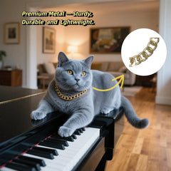 CWYZA Gold Cat Chain Collar on cat demonstrates lightweight comfort for all-day wear