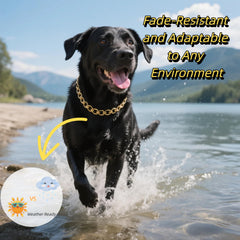 CWYZA gold dog chain metal construction conveys sturdiness for daily adventures