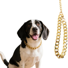 CWYZA gold dog chain necklace close-up highlights premium metal for daily wear