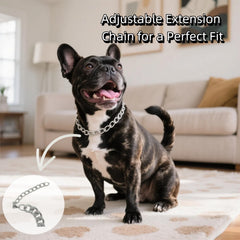 CWYZA silver dog chain necklace adjustable extension demonstrates easy, comfortable fit