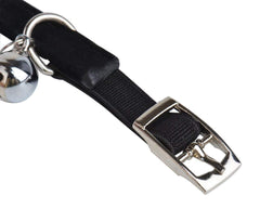 C&Xanadu diamante rhinestone detail on pet collar