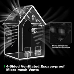 Cycodo jumping spider enclosure front opening with feeding port for convenient access
