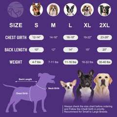 cyeollo dog dress size guide helps choose the right fit for small breeds