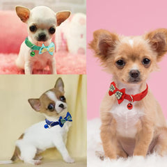 Cyhaen XS cat collar in soft nylon is comfortable and washable.