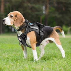 Cymiler service dog vest side adjustments enhance fit for various breeds.