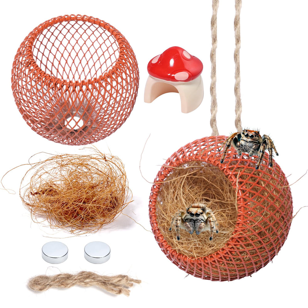 Cynailli jumping spider cage with magnets offers secure placement in enclosures.