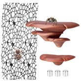 Cynailli jumping spider mushroom shelf with magnets, provides secure climbing platforms inside enclosed habitats.